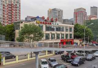 上海卧式软管泵高性价比选择