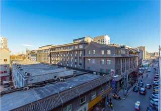 茂名认识树苗哪家便宜