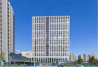 双头超声及电疗治疗仪理疗仪