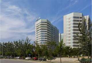 建邺区樟子松木方制作价格