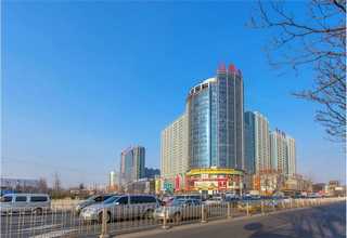 河北酒箱塑料提手哪家好