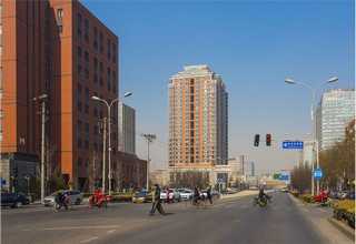 山东氨基寡糖素的升级版